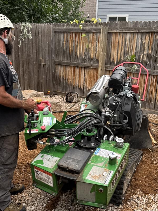 Stump & Root Grinding