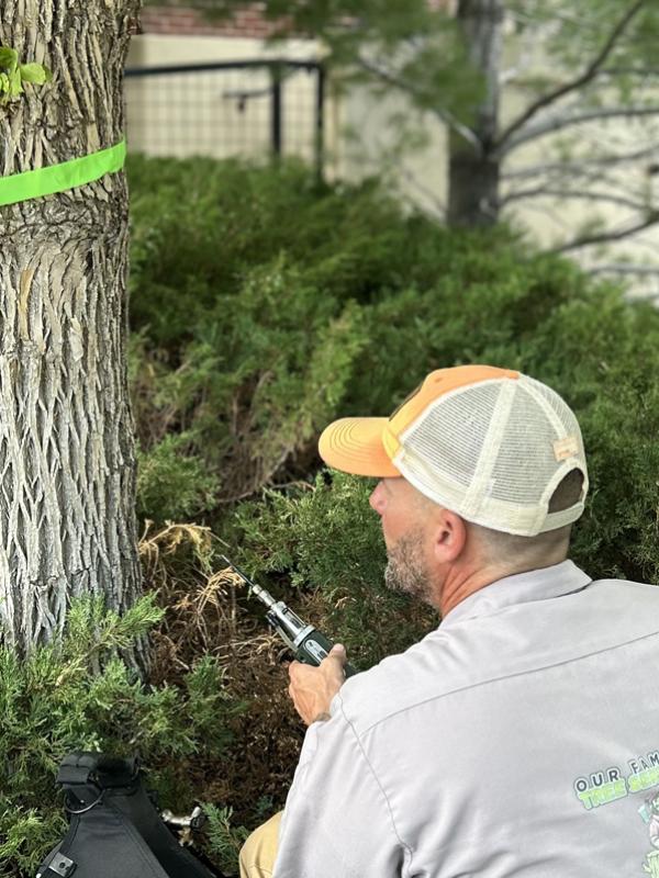 Tree Injections & Fertilization